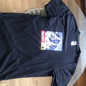 Supreme NorthFace Mountain Tee